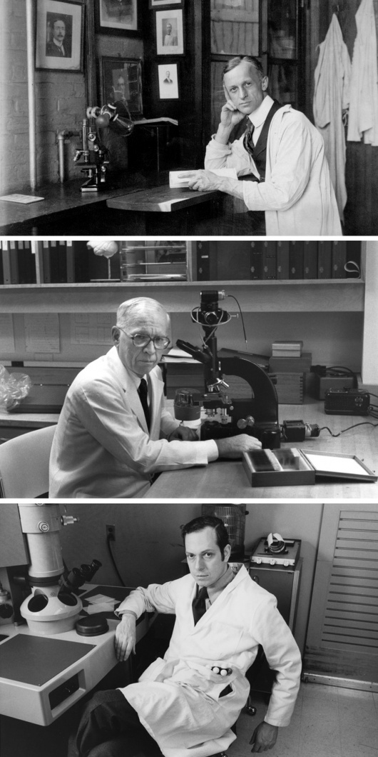 Our History - The Solomon H Snyder Department Of Neuroscience